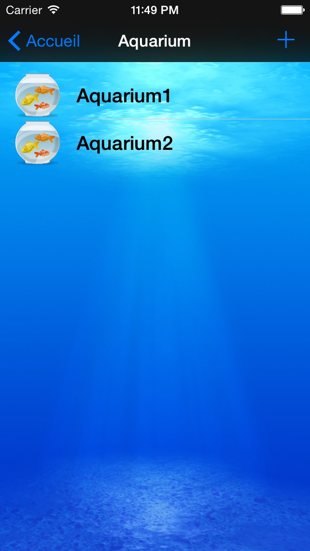 Historique graphique